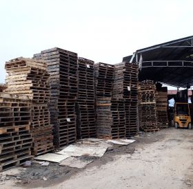 Cho thuê Pallet gỗ tại Miền Tây, Bình Dương , Đồng Nai, HCM...