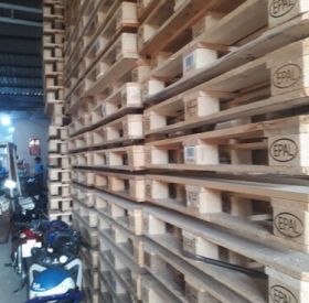 Khám phá ngay công ty cung cấp pallet gỗ Vũng Tàu đáng tin cậy nhất