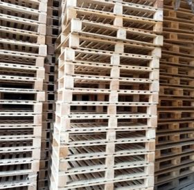 Bạn đang tìm kiếm một đơn vị chuyên bán pallet gỗ Tây Ninh uy tín?