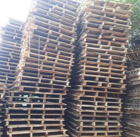 Địa chỉ chuyên cung cấp pallet gỗ sồi mỹ chất lượng đáng tin cậy nhất