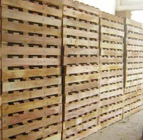 Nơi cung cấp pallet gỗ Tây Ninh giá rẻ