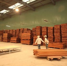Đơn vị sản xuất pallet gỗ giá rẻ cam kết chất lượng đạt chuẩn