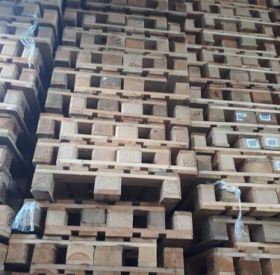 Tìm đâu địa chỉ sản xuất pallet gỗ thông giá tốt đáng tin cậy nhất?