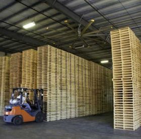 Cơ sở chuyên bán tấm pallet gỗ giá rẻ