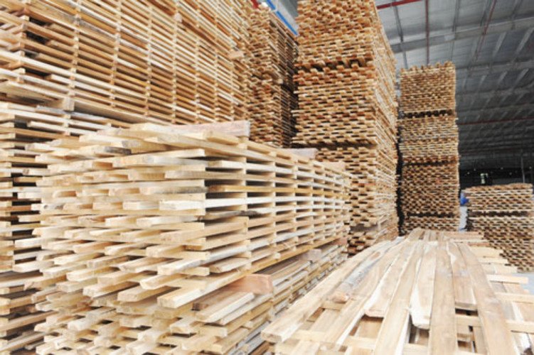 công ty sản xuất pallet gỗ ở Bình Dương