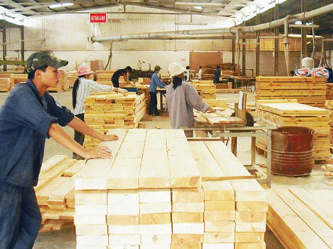 công ty sản xuất pallet gỗ tphcm