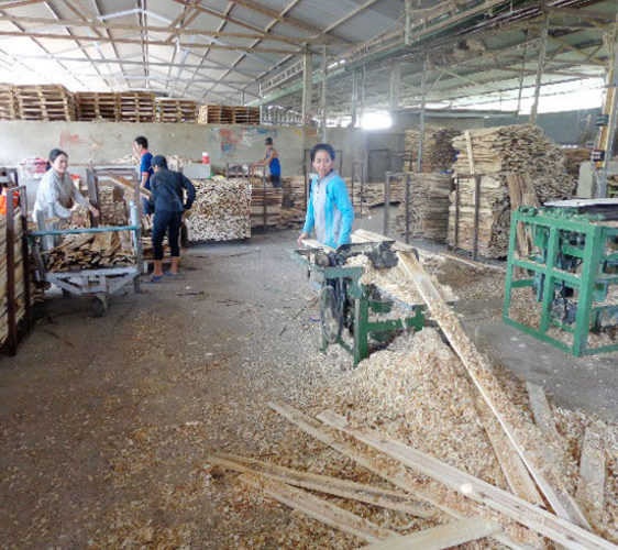 sản xuất pallet gỗ tại đồng nai