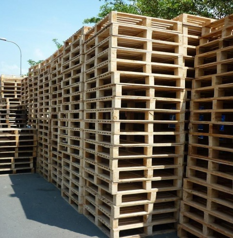 thu mua tất cả các loại pallet