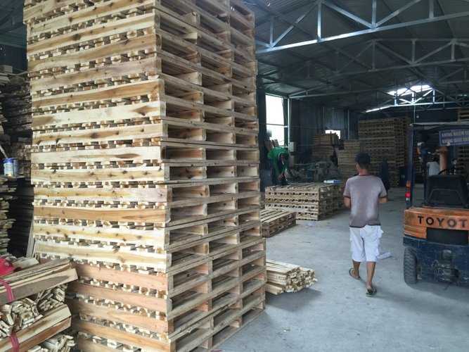 xưởng đóng pallet gỗ