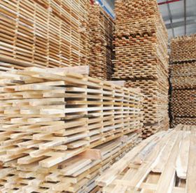 Công ty chuyên sản xuất pallet gỗ tại Đồng Nai với giá siêu ưu đãi